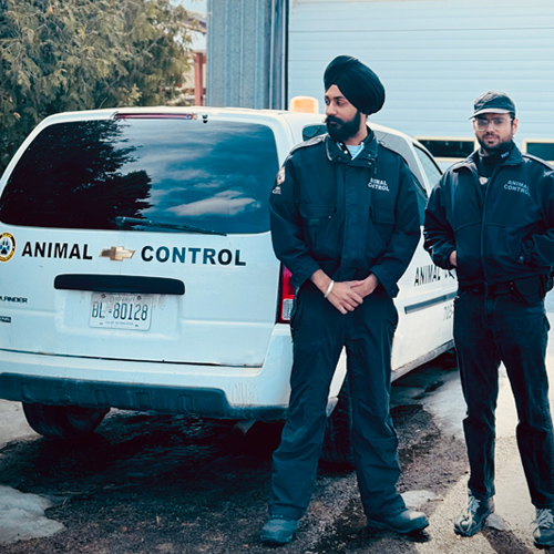 Animal Control Service
